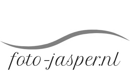 Portfolio-Jasper